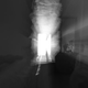 Image for article titled Zoom Photo Challenge Gallery 2